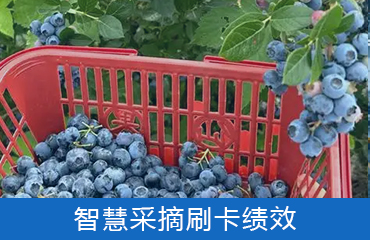 �ǻ۲�ժˢ����Ч